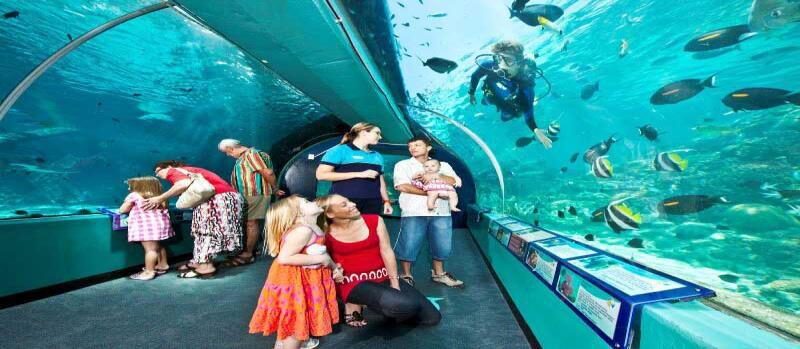 Bahrain Aquarium - Mall of Dilmunia